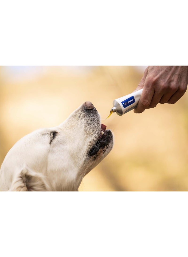 Virbac Nutri-Plus Gel - High-Energy Supplement for Cats & Dogs 120g Tube - Image 4